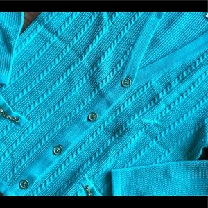 Mint Celine Cardigan, Personal Collection. France.